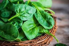Épinard